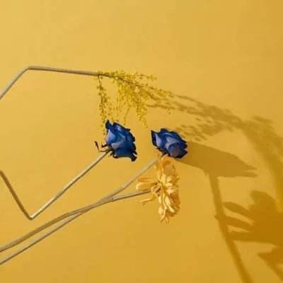 九游会存款优惠